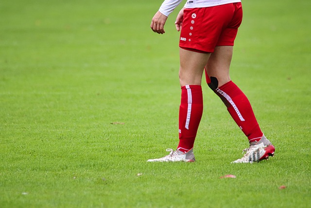 灰熊VS湖人前瞻：西部卡位关键战，伤病与状态成胜负手.