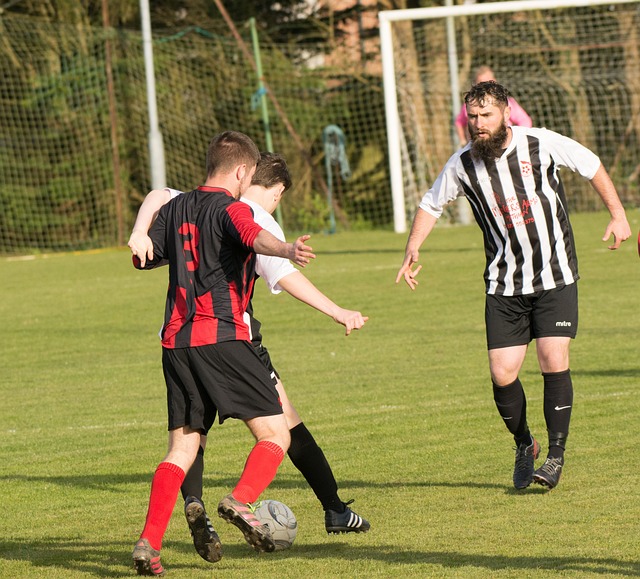 新华时评丨让冰雪经济的“冰动力”持续释放.