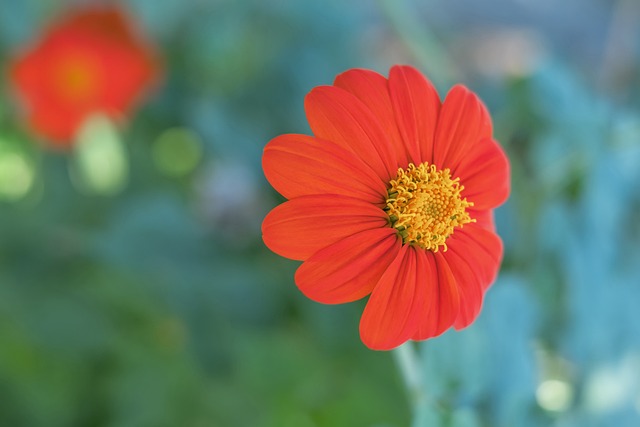 权保护中心 权保护中心