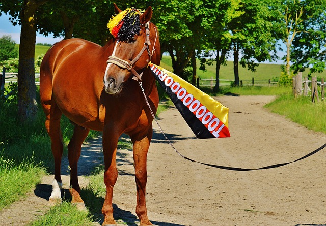 的准备同样 的准备同样